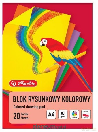 Blok rysunkowy A4/20K kolorowy (20szt)