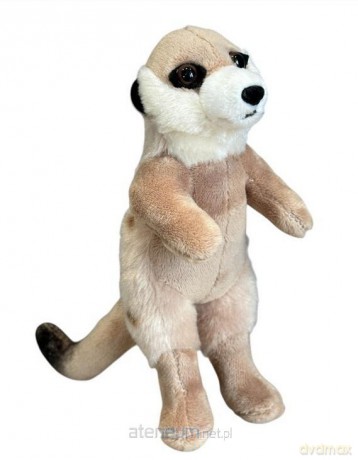 Ziki surykatka 14cm