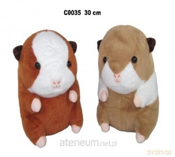Chomik 30cm mix