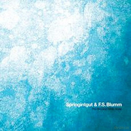 Springintgut and F.S.Blumm: The Bird and White Noise [CD]