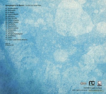 Springintgut and F.S.Blumm: The Bird and White Noise [CD]
