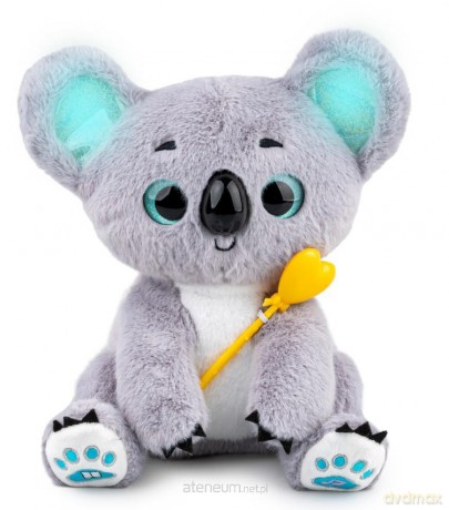 Czarujący Koala