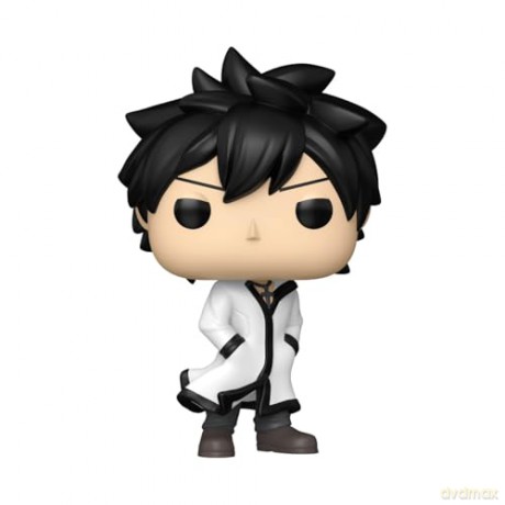 Fairy Tail 100 Year Quest POP! Animation Vinyl Figures Gray 9 cm