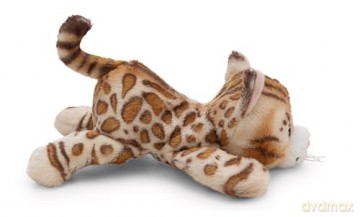 MagNICI kot bengalski magnes 12cm