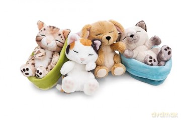 NICI śpiące zwierzątka Kot Bengalski w 12cm