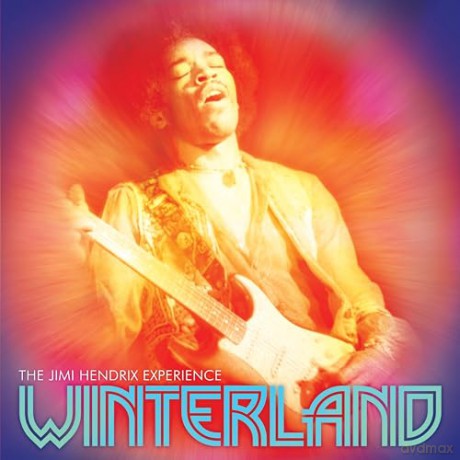 The Jimi Hendrix Experience: Winterland [Winyl]