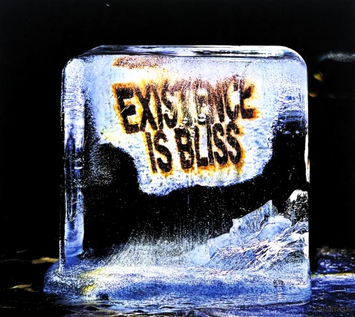 Deadletter: Existence Is Bliss [CD]