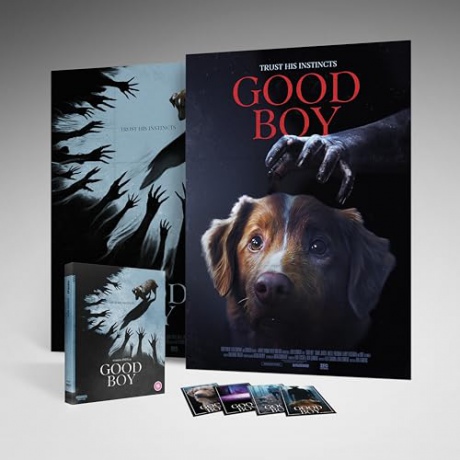 Good Boy [Blu-Ray 4K]