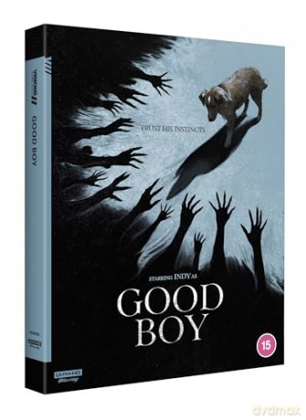 Good Boy [Blu-Ray 4K]