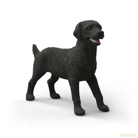 Schleich Czarny Labrador - Suczka