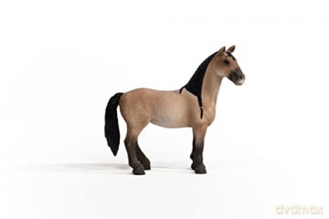 Schleich Horse Club Criollo Definitivo, Klacz