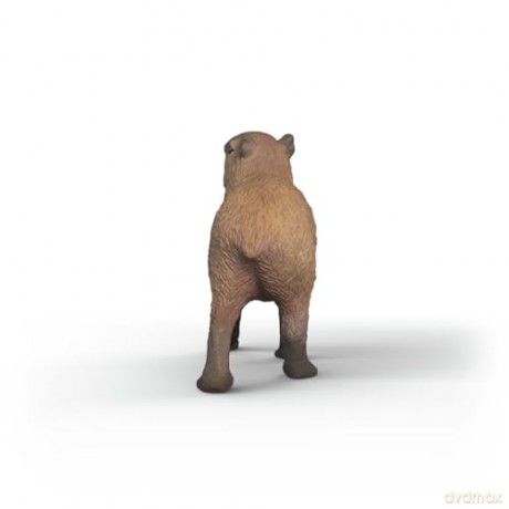 Schleich Kapybara
