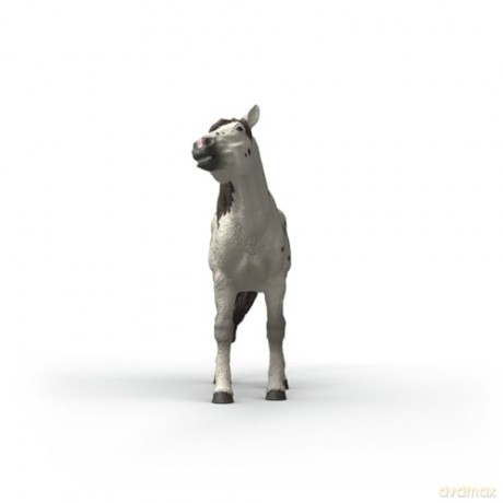 Schleich Koń Wałach Knabstrupper