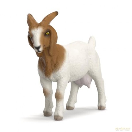 Schleich Koza Rasy Boer