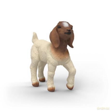Schleich Koza Rasy Boer - Młode