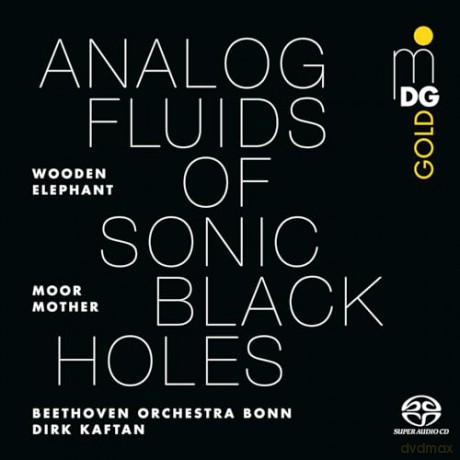 Moor Mother & Wooden Elephant & Beethoven Orchester Bonn & Dirk Kaftan: Analog Fluids Of Sonic Black Holes [Winyl]