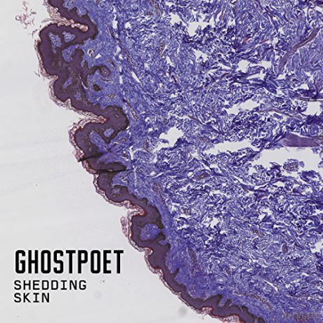 Ghostpoet: Shedding Skin [Winyl]