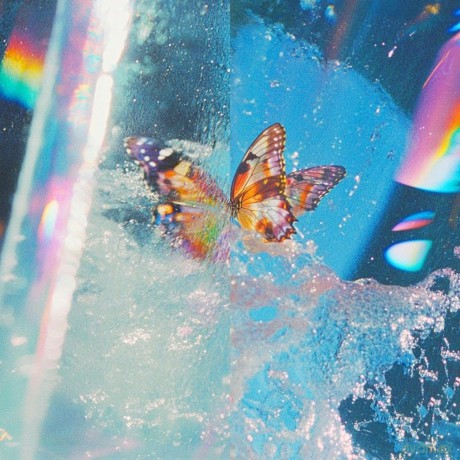 Daphni: Butterfly [CD]