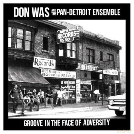 Don Was: Groove In The Face Of Adversity [Winyl]