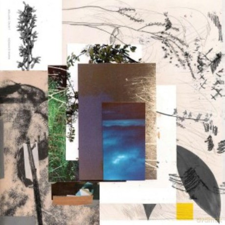 Mara Simpson: Living Matter (Recycled) [Winyl]