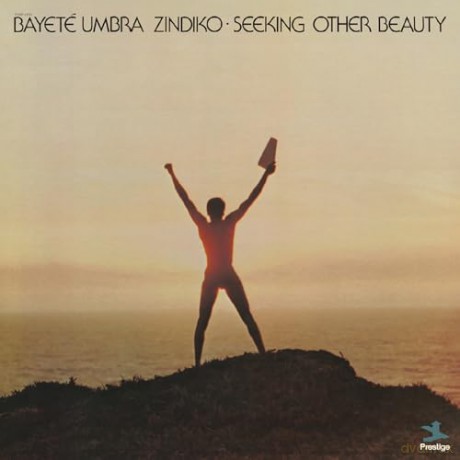 Bayete Umbra Zindiko: Seeking Other Beauty (All-Analog) [Winyl]