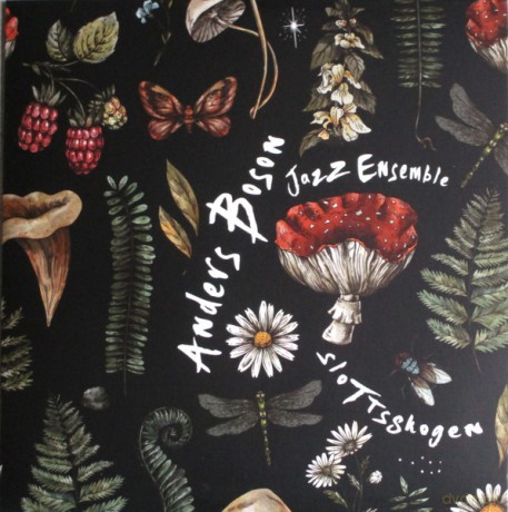 Anders Boson Jazz Ensemble: Slottsskogen [CD]