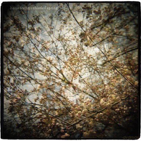 Horse Feathers: Thistled Spring [Winyl]