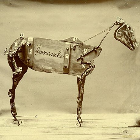 Chadwick Stokes: The Horse Comanche [Winyl]