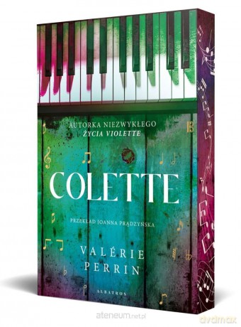 Colette (barwione brzegi) - Valerie Perrin [KSIĄŻKA]