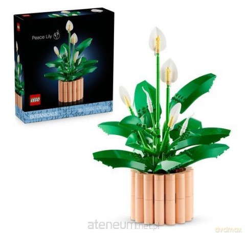 LEGO BOTANICALS 11504 (3szt) Skrzydłokwiat [KLOCKI]
