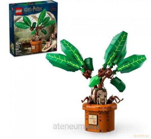 LEGO HARRY POTTER 76433 (3szt) Mandragora [KLOCKI]