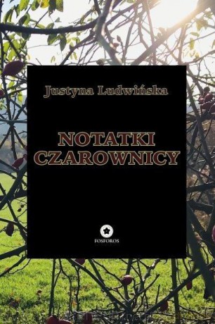 Notatki czarownicy - Justyna Ludwińska [KSIĄŻKA]
