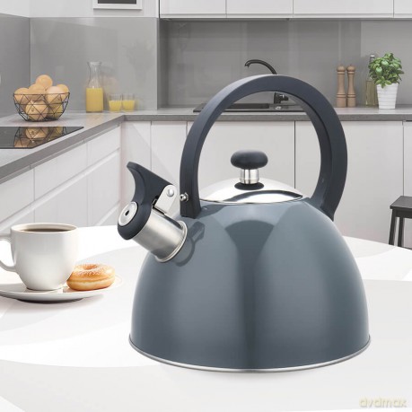 Czajnik nieelektryczny 2,5 l MR-1302-GREY