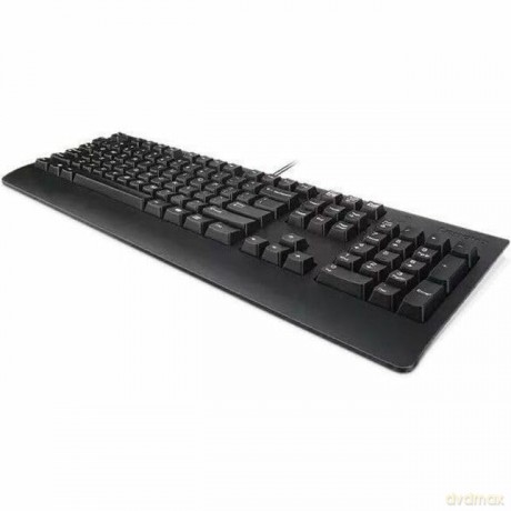 Klawiatura Preferred Pro II USB US English 4Y41R64588