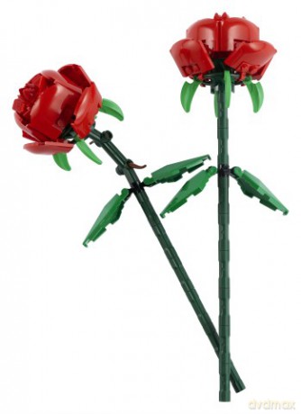 LEGO Botanicals 40460 Róże [KLOCKI]