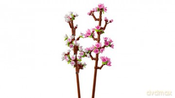 LEGO Botanicals 40725 Kwiaty wiśni [KLOCKI]