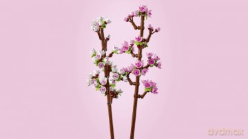 LEGO Botanicals 40725 Kwiaty wiśni [KLOCKI]