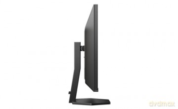 Monitor 31.5 cala 32E1N3100LA VA 75Hz HDMIx2 VGA
