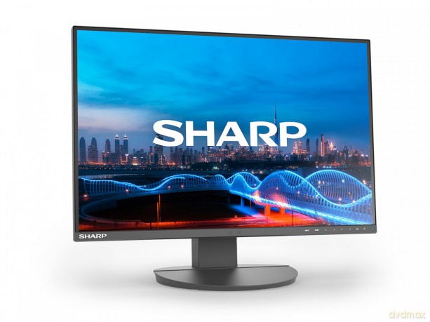 Monitor biznesowy MultiSync DD-EA241W 24 cale Czarny