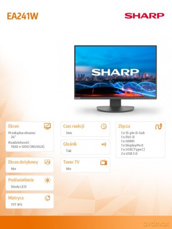 Monitor biznesowy MultiSync DD-EA241W 24 cale Czarny