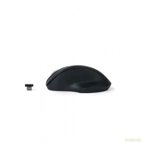 Mysz bezprzewodowa - Wireless USB-C Pro Mouse Black