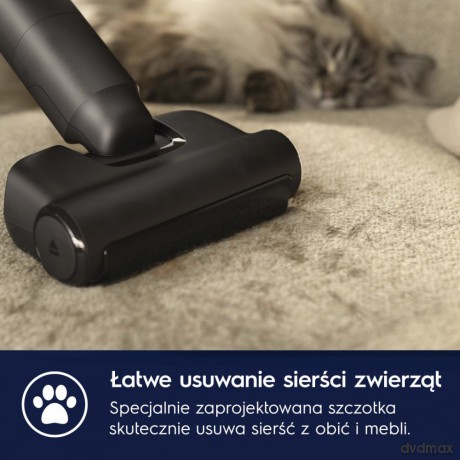 Odkurzacz pionowy Animal 800 EP82AB25UG