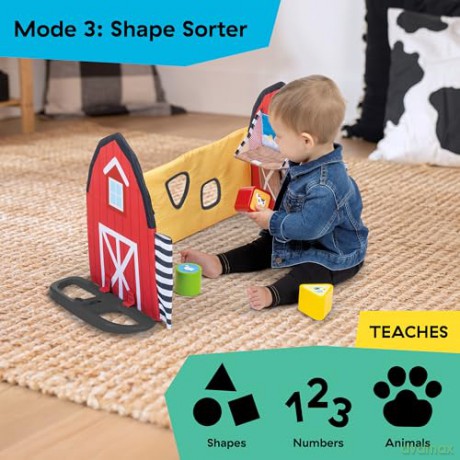 Baby Einstein - Busy Barnyard Grow With Me Activity Gym (BE-17327)