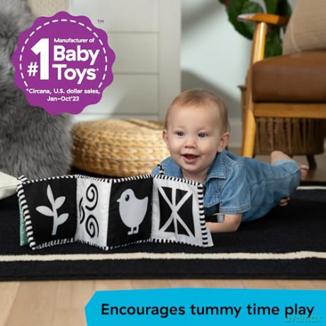 Baby Einstein - Counting at the Farm Soft Activity Book (BE-17303)