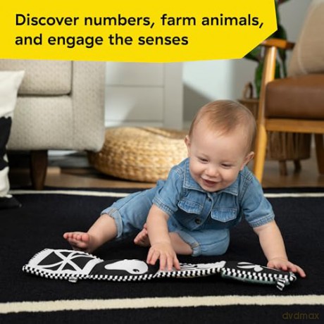Baby Einstein - Counting at the Farm Soft Activity Book (BE-17303)