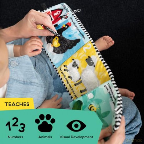Baby Einstein - Counting at the Farm Soft Activity Book (BE-17303)