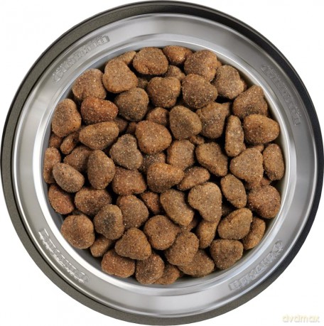 Belcando - Adult GF Poultry - 22.5kg