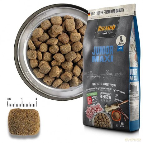Belcando - Junior Maxi - 12.5kg