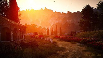 Black Desert: Prestige Edition [GRA PS4]
