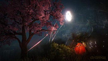 Black Desert: Prestige Edition [GRA PS4]